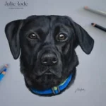 Julie Rode | Pet portrait artist